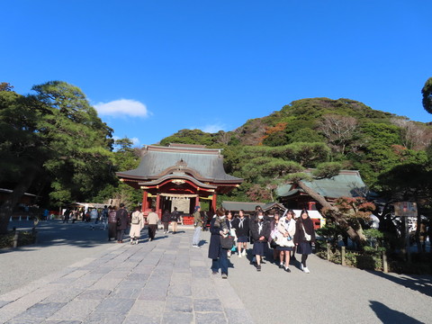 Image_20251216_193623_379