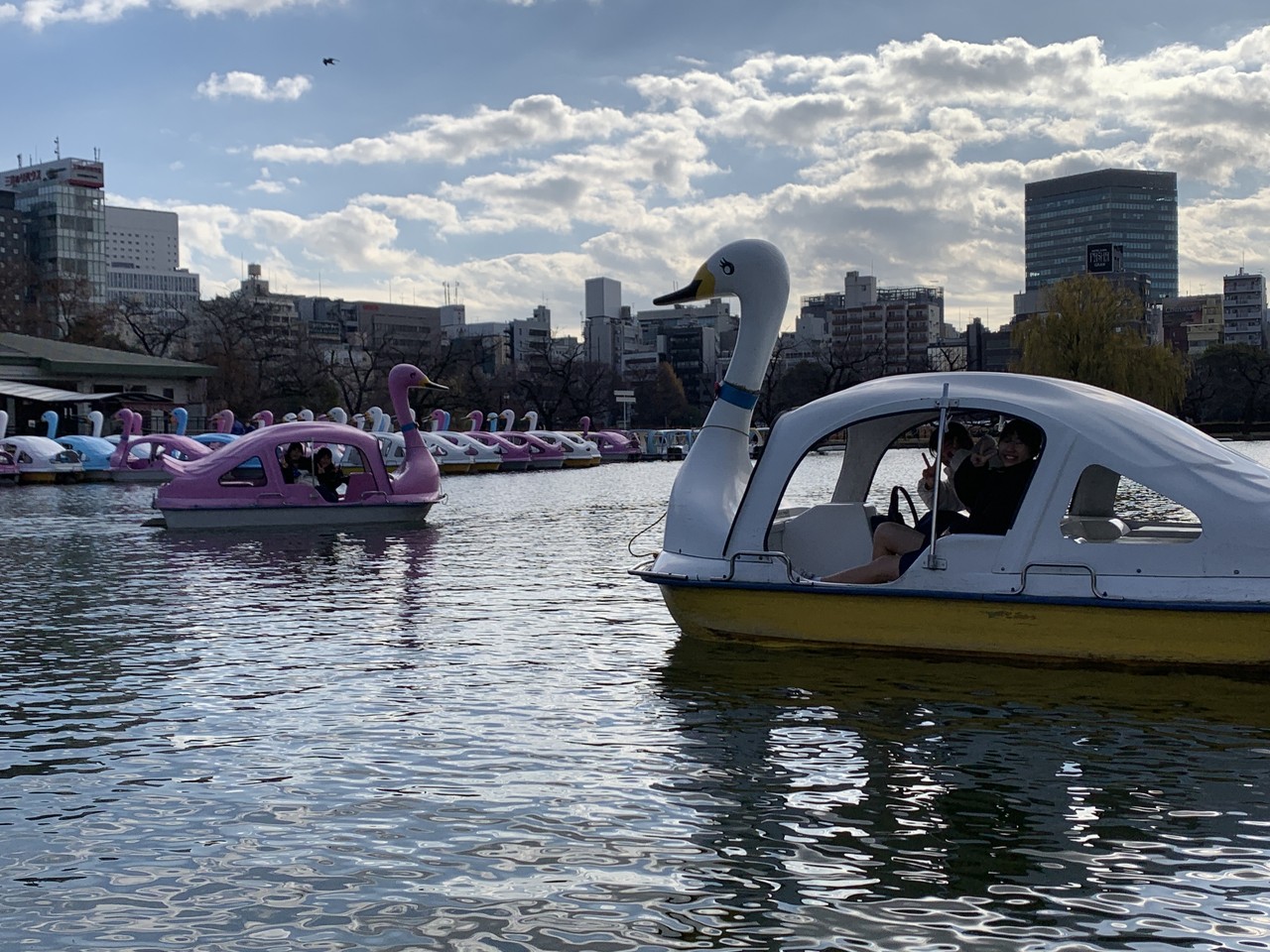 Image_20251219_191101_287