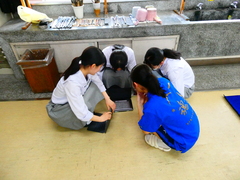P1000511