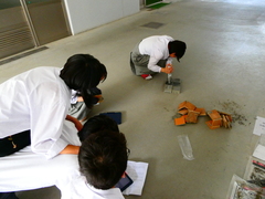 P1000700