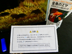 P1000773
