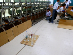 P1001205