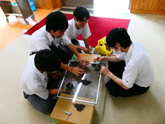 P1001299
