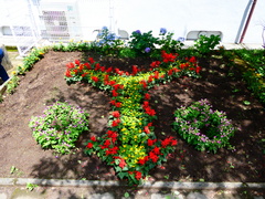 P1000837