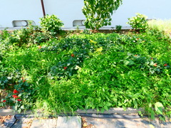 P1001642