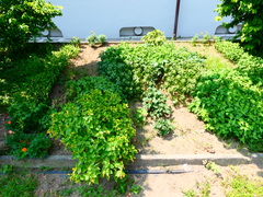 P1001643