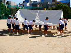 P1001704
