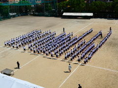 P1001779