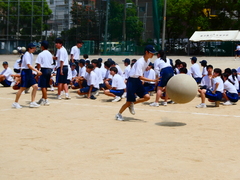 P1001788