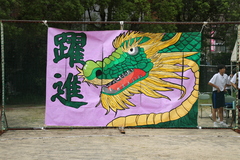 1O3A9421