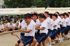 1O3A9462