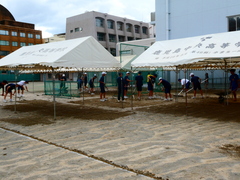 P1001907
