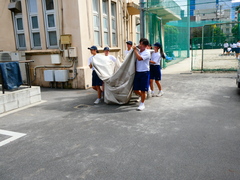 P1001929