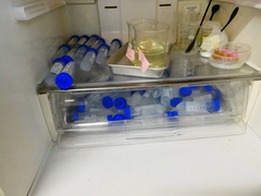 P1002027